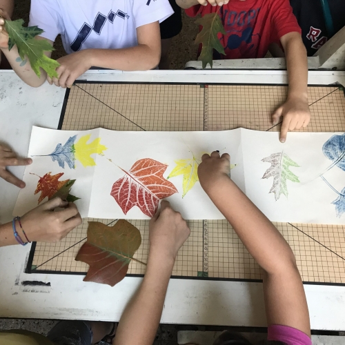 Campus Herbaria Jr 2018